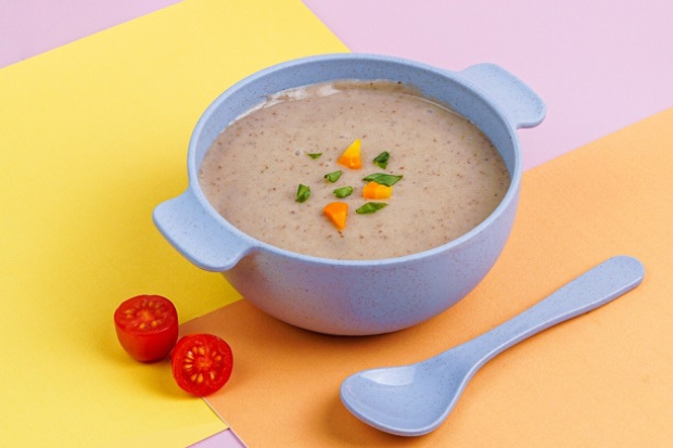 bubur makanan sehat dan bergizi untuk bayi