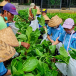 wisata edukasi berbasis alam untuk anak-anak